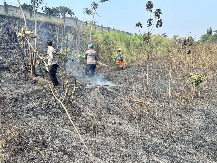 Kebakaran Lahan Muncul di KM 60 Tol Malang, Polisi Turun Tangan
