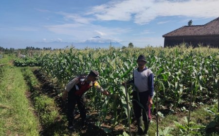 Bhabinkamtibmas Polres Malang Ikut Jaga Potensi Pangan di Desa